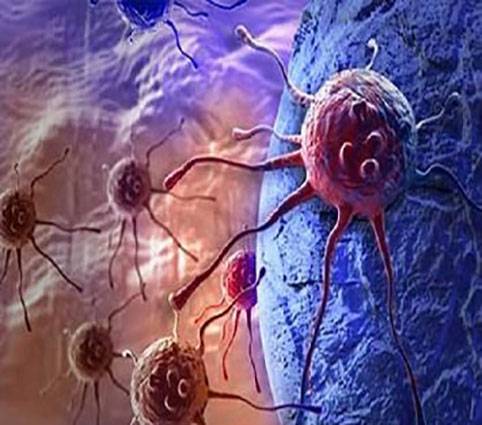 چگونه سلولها از حالت طبیعی خارج و به سرطان تبدیل میشود !!!
